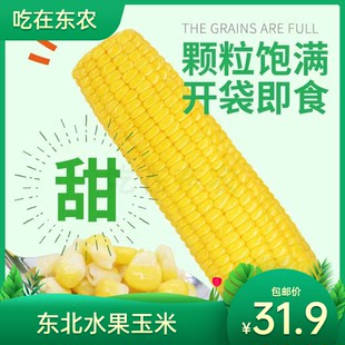 2025新东北水果玉米开袋即食爆浆甜非转基因真空包装8根玉米包邮