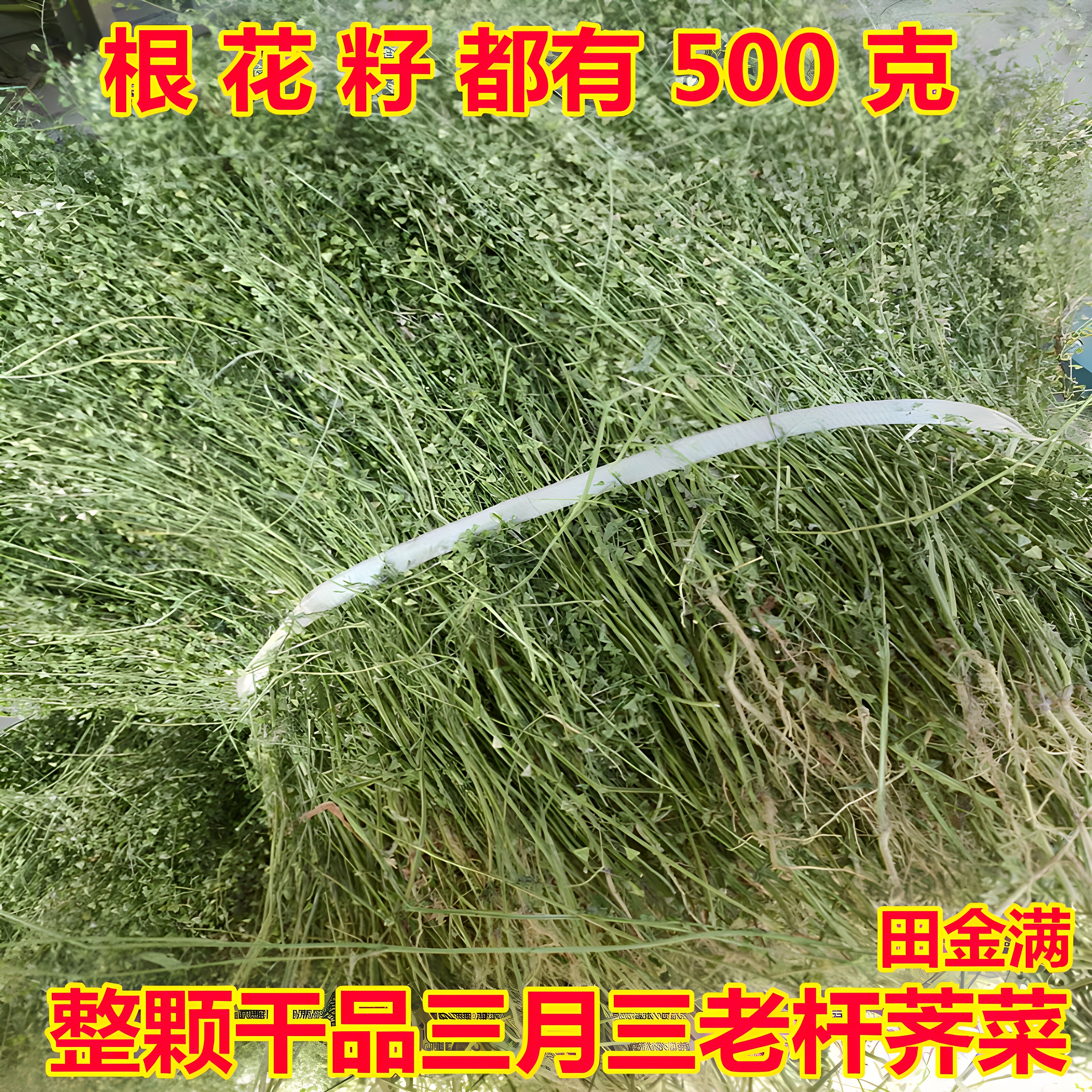 三月三老荠菜干带根花籽整株月子煮水 野菜晒干煮鸡蛋老荠菜