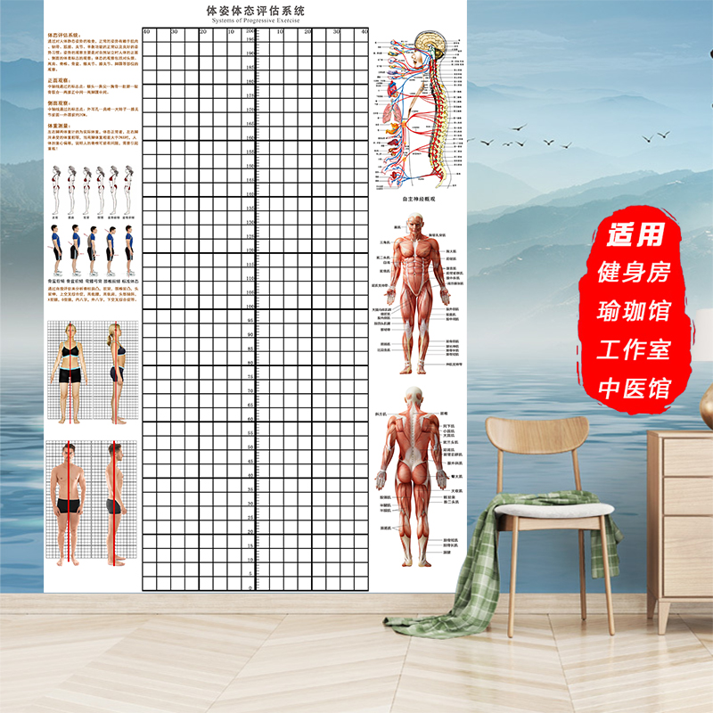 体态评估图墙贴健身房瑜伽馆私教