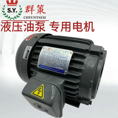 台湾SY液压油泵内轴电机C01/C02/C03/C05/C7B/C10-43B0 1 2HP