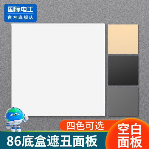 空白面板开关遮挡粘贴/螺丝可选
