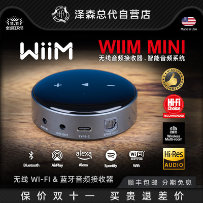 wiimmini免网线airplay接收器