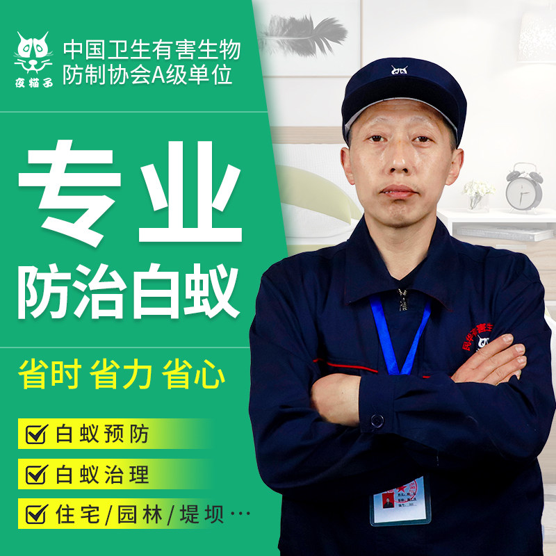 成都上门服务家庭单位装修白蚁预防治理专用药专业灭白蚁药全窝端