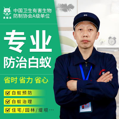 治理装修预防专业全窝端白蚁药