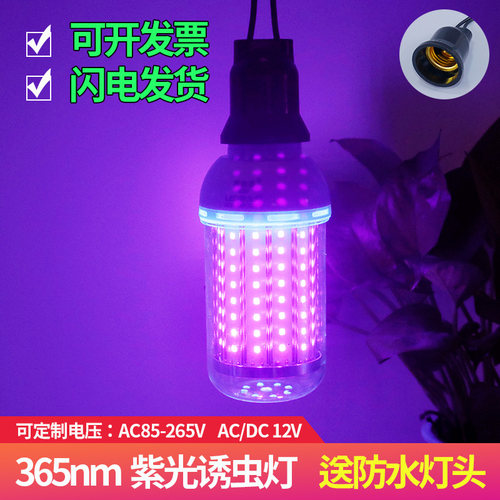 220v/12v诱虫灯365nm紫光黑光灯
