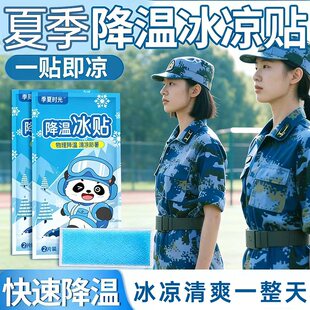 降温冰凉贴冰贴清凉夏季 神器退热手机散热贴夏天冰敷凉爽解暑神器