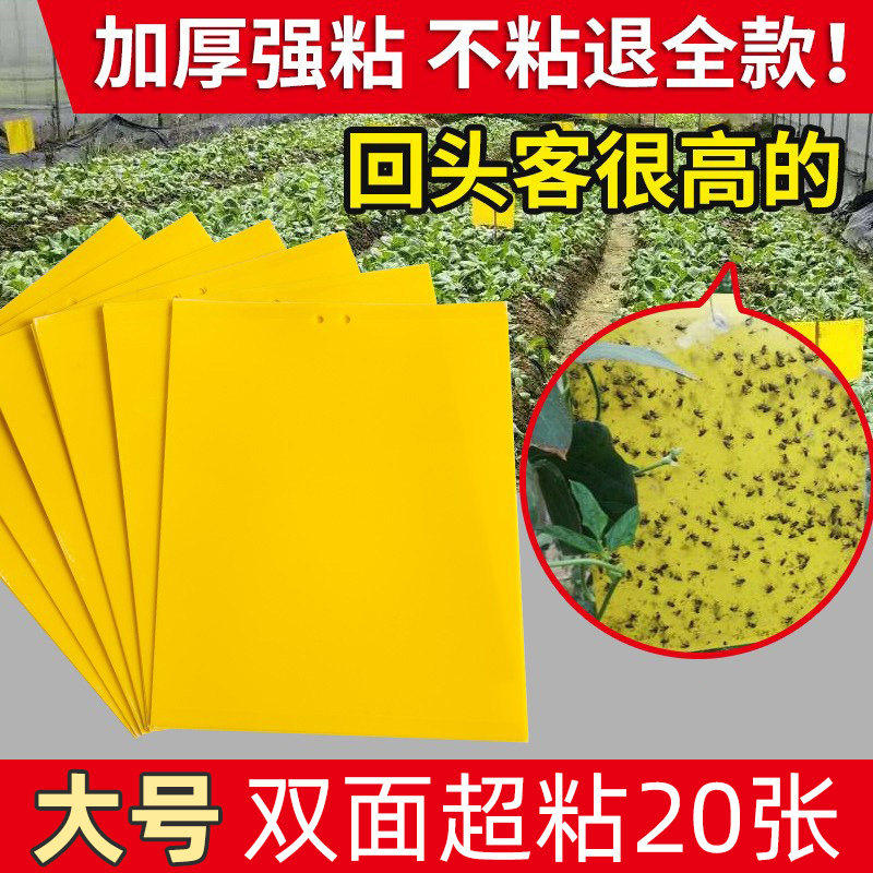 粘虫板黄板双面大棚菜园小飞虫果蝇诱捕器粘蚊贴苍蝇贴果园粘蝇纸