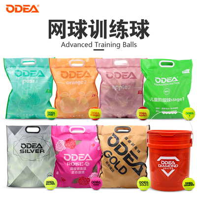 Odear欧帝尔网球GOLD高弹耐打无压训练球儿童减压过渡网球初学者
