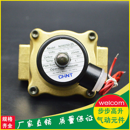 CHNT正泰气动工具 2W水阀 全铜走水电磁阀常闭气阀12V/24V/220V