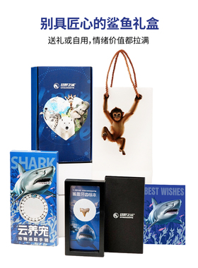 云养宠动物追踪手链情侣手串生日礼物情人节礼物鲨鱼手链礼盒