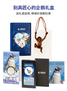 云养宠动物追踪手链情侣手串生日礼物情人节礼物企鹅礼盒