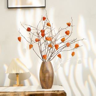 天然干枝干花果进口酸浆果灯笼果插花植物果实配果红果子家居设计