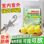 壁虎驱避丸强力驱壁虎丸驱虫防蚊樟脑球室外壁虎虫鼠室内外趋避丸