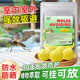 蚊子驱避丸强力驱鼠丸驱虫防鼠樟脑球室外虫鼠趋避丸外用家用