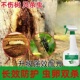 果树蛀虫喷雾树木洞虫钻心虫天牛灭虫除虫杀虫剂无花果树干防虫