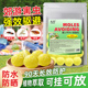 郊游驱避丸户外强力驱鼠丸驱虫防鼠樟脑球室外虫鼠趋避丸外用家用