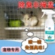 龙猫除臭喷雾剂笼子消臭垫料祛臭味尿骚味屎味宠物异味仓鼠除臭剂