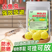 衣鱼驱避丸强力驱鼠丸驱虫防鼠蛇虫植萃强力驱鼠丸家用蟑螂虫鼠丸