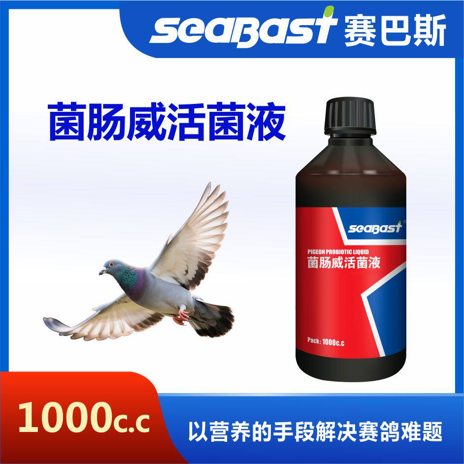 赛巴斯鸽药菌肠威活菌液赛信鸽鹦鹉肠道益生菌健胃整肠鸽子保健品