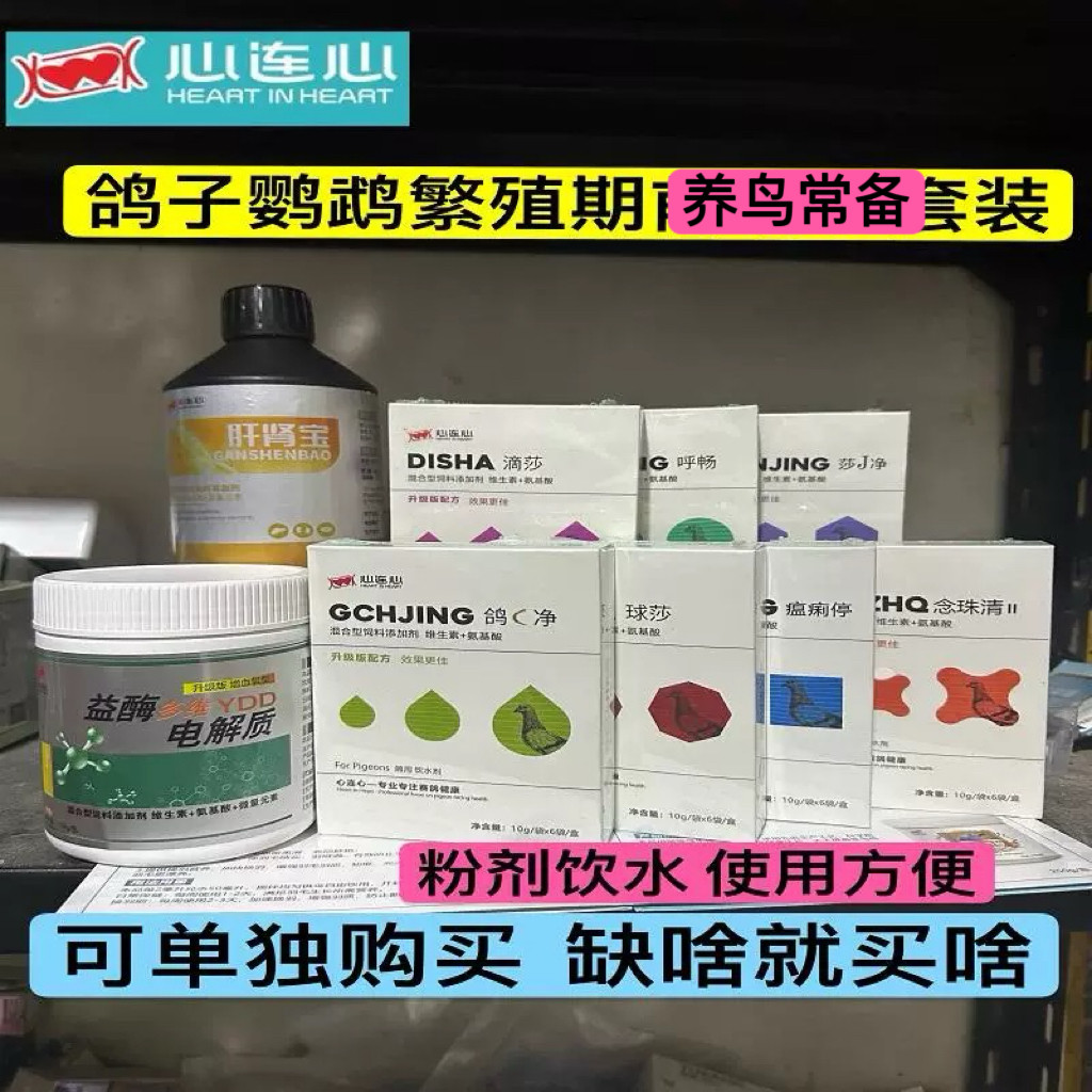 心连心鸽子常备全套赛鸽用品鹦鹉呼吸道肠道肝精电解质活菌益生菌