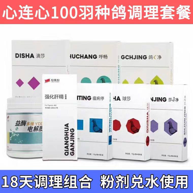 种鸽配对清理调理套装鸽子心连心