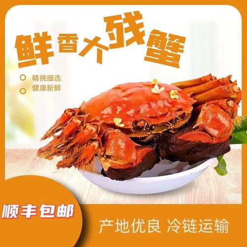 特大10只装大闸蟹鲜活残蟹残次蟹断脚蟹掉脚全公螃蟹海鲜特大现货
