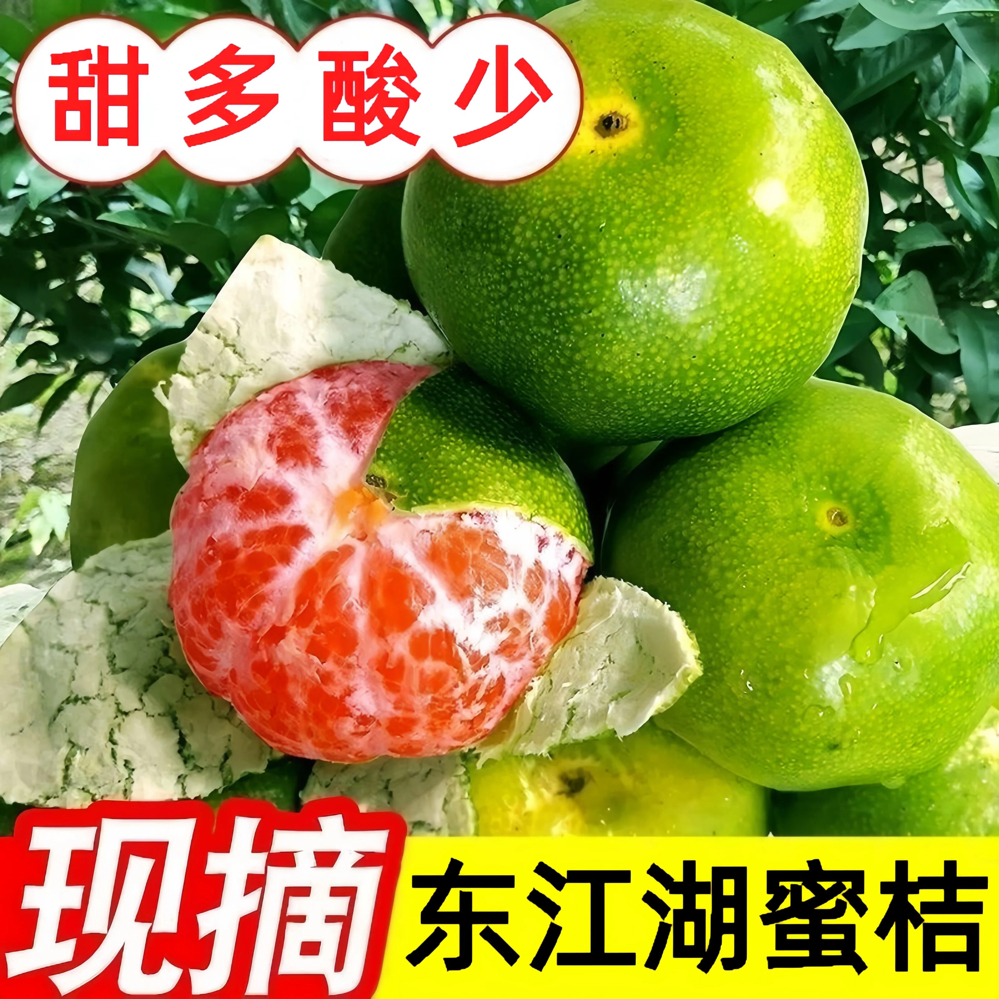 正宗东江湖蜜橘假一赔十不打蜡