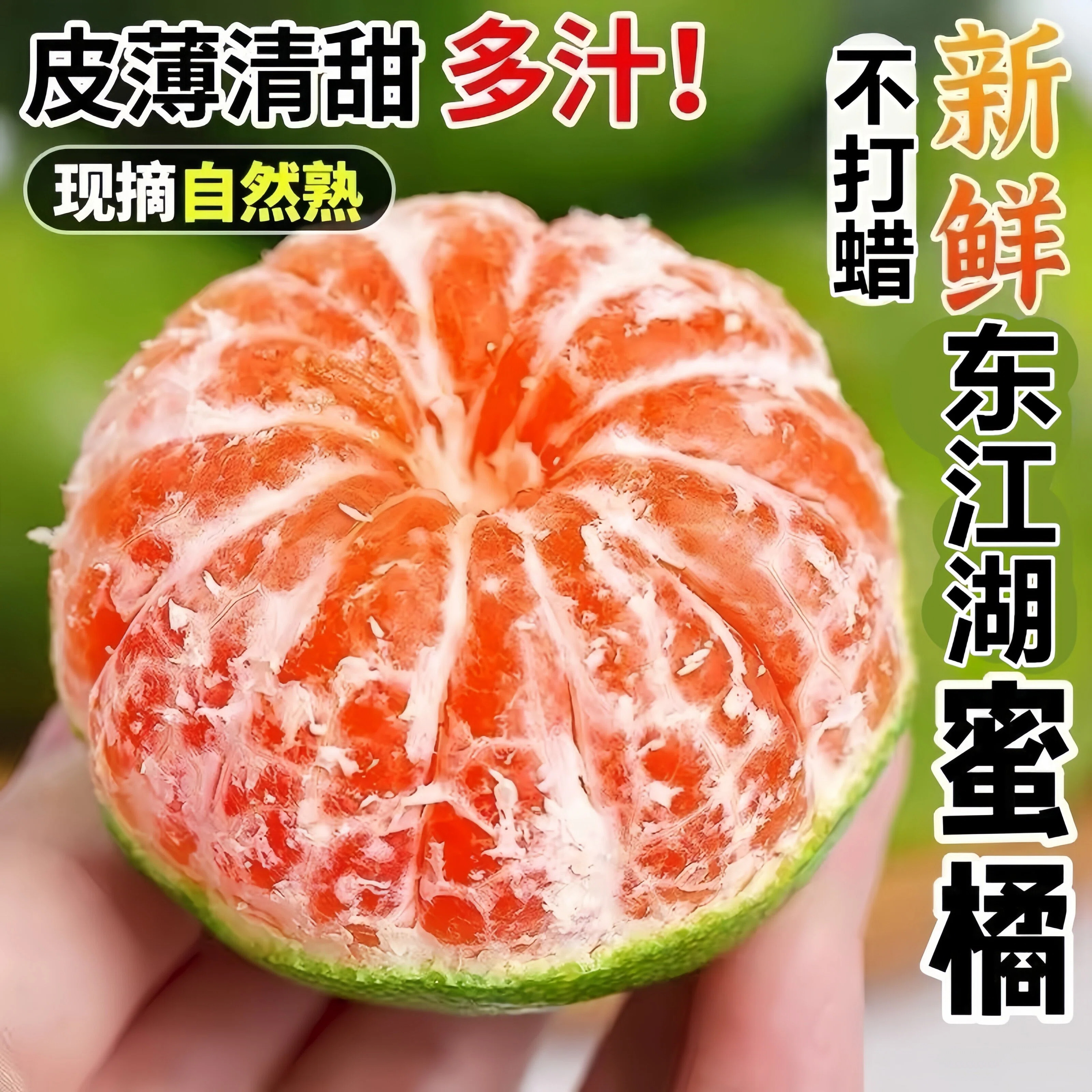 严选东江湖蜜桔假一赔十原产地