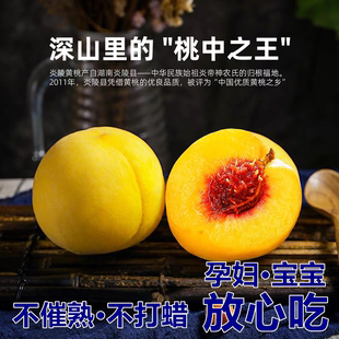 正宗湖南炎陵黄桃新鲜水果当季黄毛黄桃