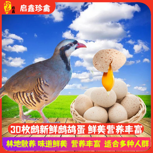 富含牛磺酸，益智力，抗疲劳