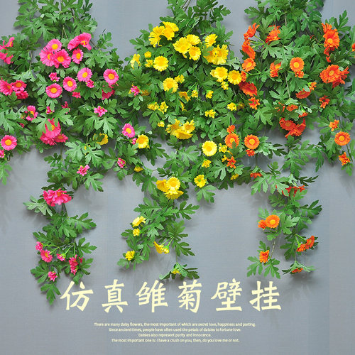 仿真雏菊壁挂花吊兰塑料假花藤条