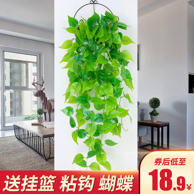 藤蔓植物仿真装饰挂壁价格 藤蔓植物仿真装饰挂壁图片 星期三 藤蔓植物仿真装饰挂壁价格 藤蔓植物仿真装饰挂壁图片 星期三