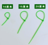 Ленточный ротан