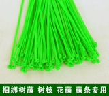 Ленточный ротан