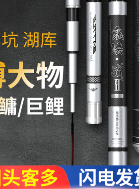 湖库黑坑鱼竿手杆超轻 超硬28偏19调5H台钓竿水库大物杆鱼竿8.1米