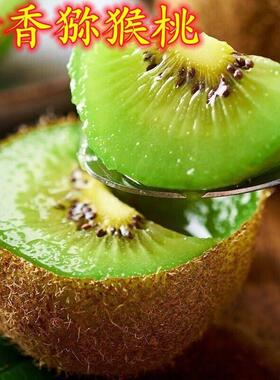 徐香猕猴桃树苗盆栽地栽江山绿心奇异果树苗南北方种植猕猴桃苗