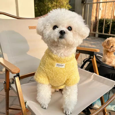 狗狗衣服小体比熊冬季保暖绒衣小型犬外出专用柔软舒适加绒两脚衣