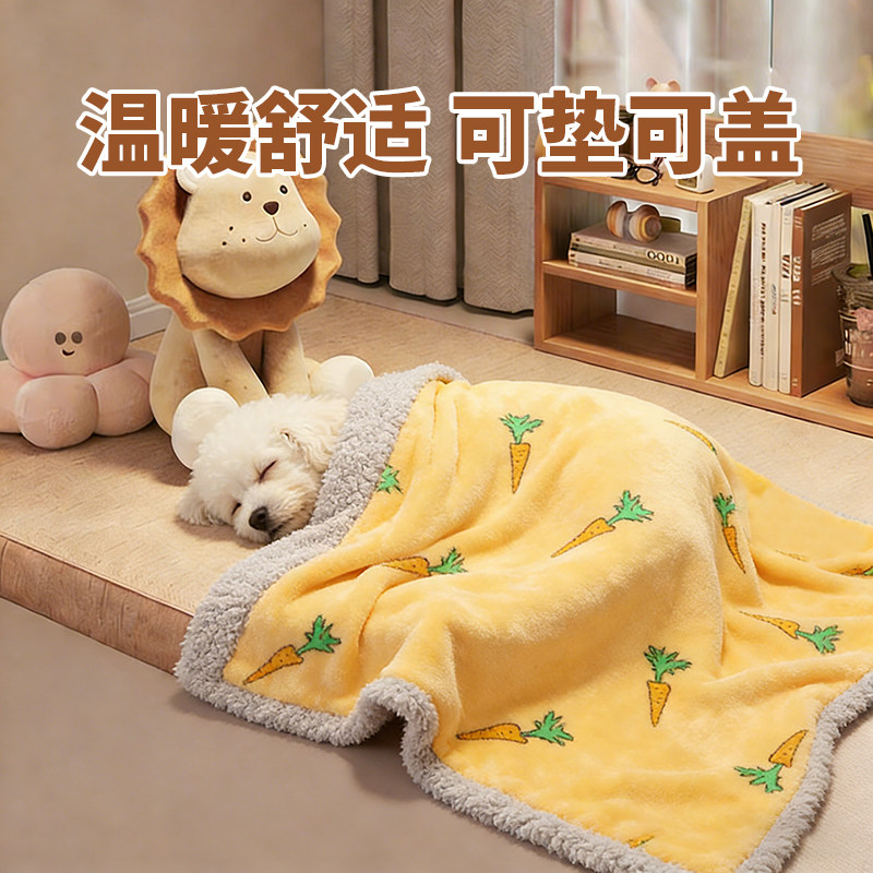 狗狗毛毯睡觉被子冬加厚小狗毯子棉被冬季保暖可拆洗冬天用西施犬,宠物/宠物食品及用品,猫狗垫子,淘宝优惠券,粉丝福利购,淘宝优惠卷