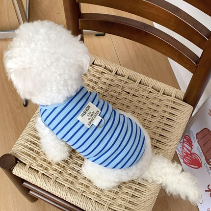 狗狗衣服小型犬秋天幼犬防脏比熊秋季背心小体泰迪可牵引两脚秋装