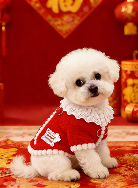 狗狗新年衣服冬天厚款红色泰迪马尔济斯可牵引四脚过年喜庆拜年服