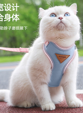 德文猫牵引绳猫咪蓝紫色清新高颜值胸背带户外遛猫专用栓猫链猫绳