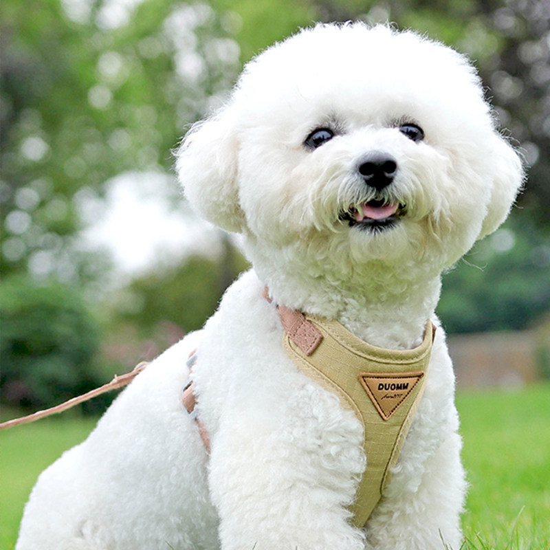比熊牵引绳防挣脱可调节工字型胸背狗链带狗狗散步遛狗绳宠物用品,宠物/宠物食品及用品,狗牵引绳,淘宝优惠券,粉丝福利购,淘宝优惠卷