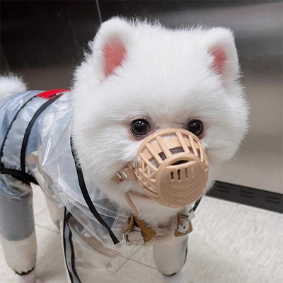 狗狗嘴套狗嘴套宠物嘴笼