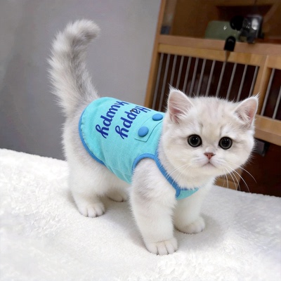 小猫衣服薄款幼猫夏天防掉毛银渐层高颜值两脚衣韩系包扣吊带秋天