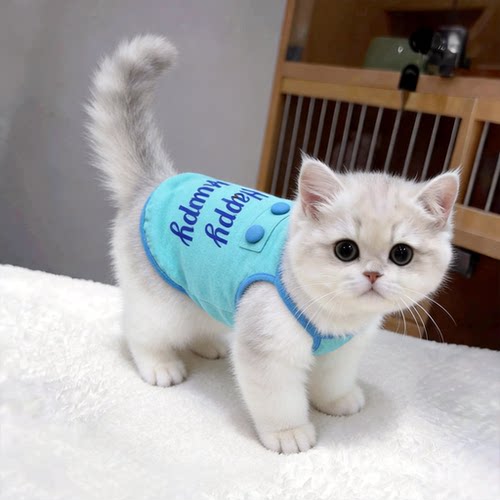 小猫衣服薄款幼猫夏天防掉毛银渐层高颜值两脚衣韩系包扣吊带秋天