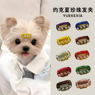 马尔济斯专用发夹狗狗头饰不掉约克夏小狗发卡珍珠汗毛夹装扮宠物