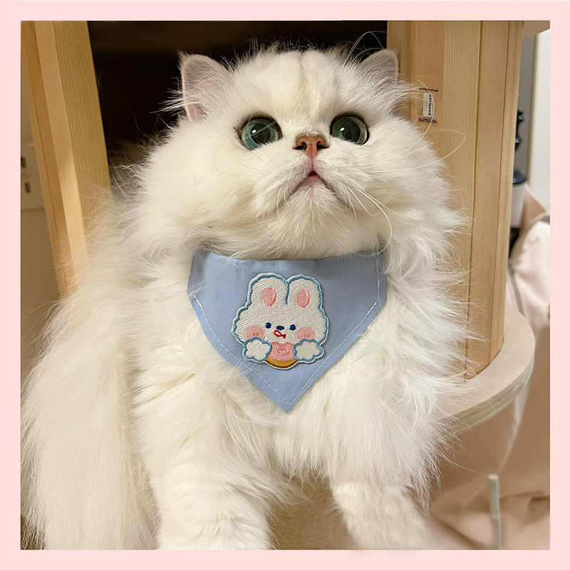 小猫围脖宠物金渐层围巾装饰品