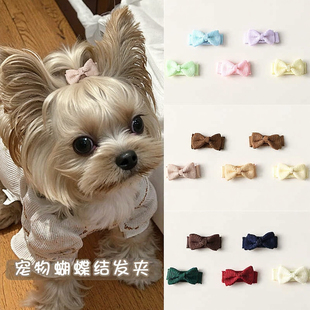 狗狗发夹蝴蝶结比熊幼犬拍照装饰品头饰可爱马尔济斯头饰发卡宠物