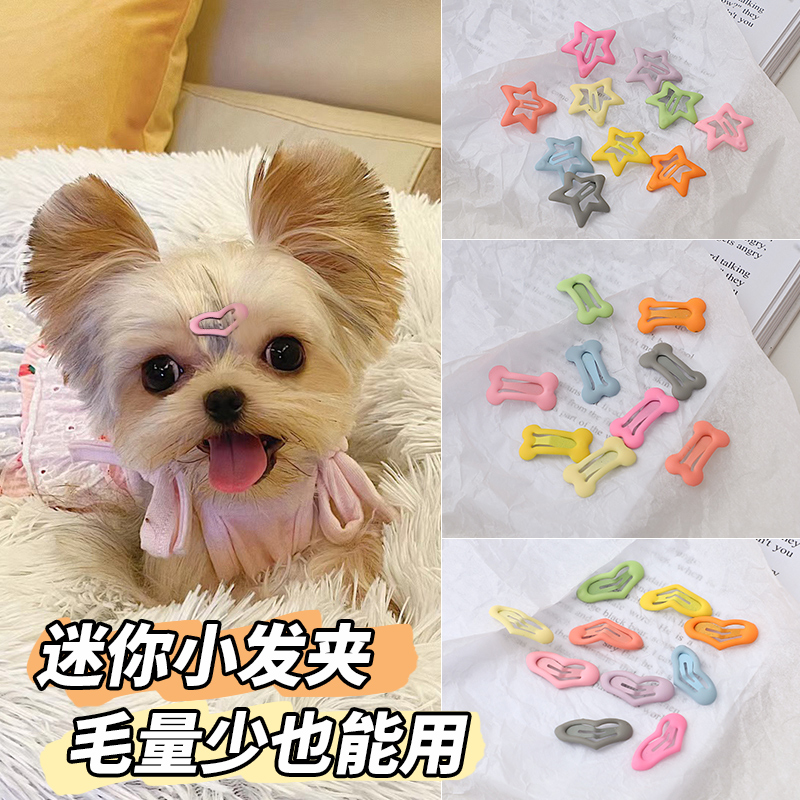 狗狗发夹约克夏小狗狗饰品BB夹