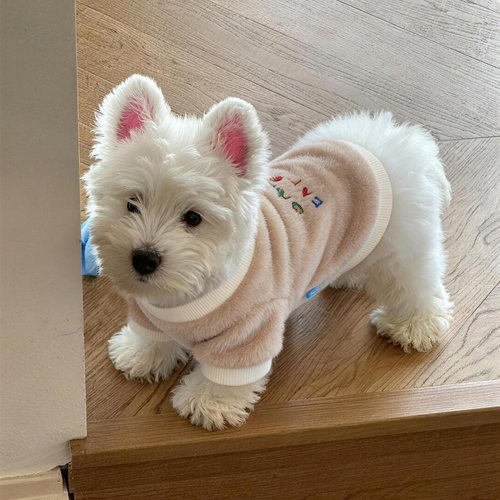 狗狗衣服小型犬秋天带牵引环毛绒套头衫新款幼犬春秋小狗外出防脏